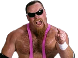 *Jim Neidhart12*